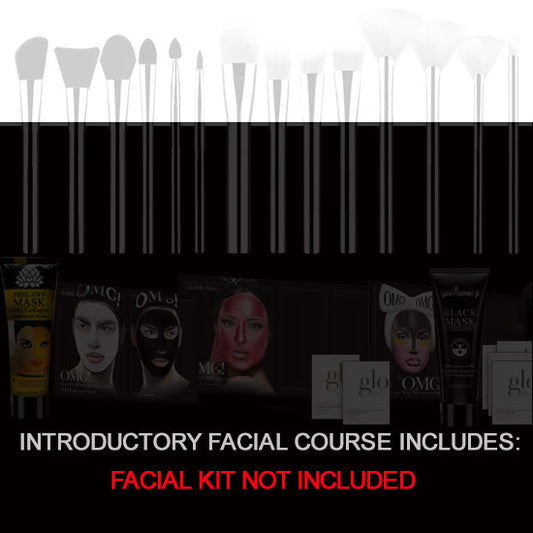 Introductory Facial Course